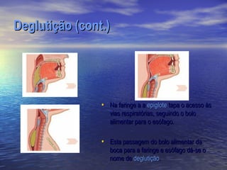 Deglutição (cont.)




                • Na faringe a a epiglote tapa o acesso às
                   vias respiratórias, seguindo o bolo
                   alimentar para o esófago.

                • Esta passagem do bolo alimentar da
                   boca para a faringe e esófago dá-se o
                   nome de deglutição.
 