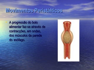 Movimentos Peristálticos
• A progressão do bolo
  alimentar faz-se através de
  contracções, em ondas,
  dos músculos da parede
  do esófago.
 