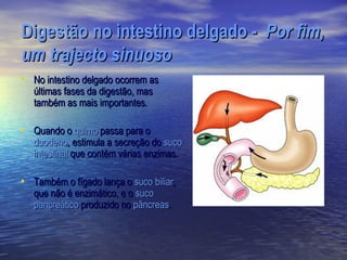 Digestão no intestino delgado - Por fim,
um trajecto sinuoso
• No intestino delgado ocorrem as
   últimas fases da digestão, mas
   também as mais importantes.

• Quando o quimo passa para o
   duodeno, estimula a secreção do suco
   intestinal que contém várias enzimas.

• Também o fígado lança o suco biliar,
   que não é enzimático, e o suco
   pancreático produzido no pâncreas.
 