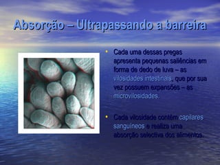 Absorção – Ultrapassando a barreira
                • Cada uma dessas pregas
                  apresenta pequenas saliências em
                  forma de dedo de luva – as
                  vilosidades intestinais, que por sua
                  vez possuem expansões – as
                  microvilosidades.

                • Cada vilosidade contém capilares
                  sanguíneos e realiza uma
                  absorção selectiva dos alimentos.
 
