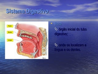 Sistema Digestivo
                    • Boca
                       órgão inicial do tubo
                      digestivo;

                       onde se localizam a
                      língua e os dentes.
 