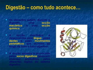 Digestão – como tudo acontece…
   Os alimentos sofrem, durante a
    digestão,     uma       acção
    mecânica    e    uma    acção
    química.

   A     acção     mecânica       é
    desenvolvida pela língua, pelos
    dentes e pelos movimentos
    peristálticos que ocorrem ao
    longo de todo o tubo digestivo.

   A acção química é provocada
    pelos sucos digestivos (possuem
    enzimas)    produzidos     pelos
    diferentes órgãos do sistema
    digestivo
 