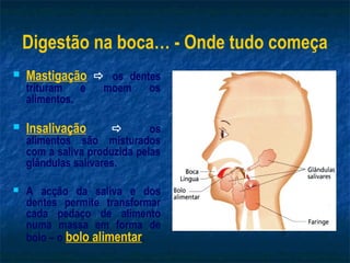 Digestão na boca… - Onde tudo começa
   Mastigação  os dentes
    trituram   e    moem     os
    alimentos.

   Insalivação              os
    alimentos são misturados
    com a saliva produzida pelas
    glândulas salivares.

   A acção da saliva e dos
    dentes permite transformar
    cada pedaço de alimento
    numa massa em forma de
    bolo – o bolo alimentar.
 