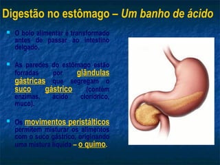 Digestão no estômago – Um banho de ácido
   O bolo alimentar é transformado
    antes de passar ao intestino
    delgado.

   As paredes do estômago estão
    forradas   por    glândulas
    gástricas que segregam o
    suco     gástrico    (contém
    enzimas,   ácido   clorídrico,
    muco).

   Os movimentos peristálticos
    permitem misturar os alimentos
    com o suco gástrico, originando
    uma mistura líquida – o quimo.
 