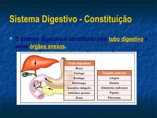Sistema Digestivo - Constituíção
   O sistema digestivo é constituído pelo tubo digestivo e
    pelos órgãos anexos.
 