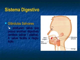 Sistema Digestivo

   Glândulas Salivares
     produzem saliva que
    possui enzimas digestivas
    (amilase salivar / ptialina).
    A saliva facilita a deglu-
    tição.
 