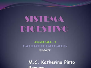 ANATOMIA - 1
FACULTAD DE ENFERMERIA
        UANCV



  M.C. Katherine Pinto
 
