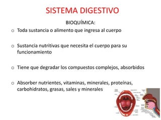 SISTEMA DIGESTIVO
                        BIOQUÍMICA:
o Toda sustancia o alimento que ingresa al cuerpo

o Sustancia nutritivas que necesita el cuerpo para su
  funcionamiento

o Tiene que degradar los compuestos complejos, absorbidos

o Absorber nutrientes, vitaminas, minerales, proteínas,
  carbohidratos, grasas, sales y minerales
 