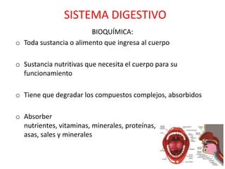 SISTEMA DIGESTIVO
                        BIOQUÍMICA:
o Toda sustancia o alimento que ingresa al cuerpo

o Sustancia nutritivas que necesita el cuerpo para su
  funcionamiento

o Tiene que degradar los compuestos complejos, absorbidos

o Absorber
  nutrientes, vitaminas, minerales, proteínas, carbohidratos, gr
  asas, sales y minerales
 