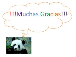 !!!Muchas Gracias!!!
 