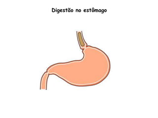 Digestão no estômago
 