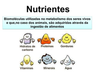 Nutrientes
Biomoléculas utilizadas no metabolismo dos seres vivos
 e que,no caso dos animais, são adquiridas através da
                 ingestão de alimentos
 