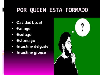 POR QUIEN ESTA FORMADO
 -Cavidad bucal
 -Faringe
 -Esófago
 -Estomago
 -Intestino delgado
 -Intestino grueso
 