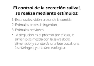 El control de la secreción salival,
  se realiza mediante estímulos:
1.-Extra orales: visión u olor de la comida
2.-Estímulos orales: la ingestión
3.-Estímulos nerviosos.
• La deglución es el proceso por el cual, el
  alimento se mezcla con la saliva (bolo
  alimenticio) y consta de una fase bucal, una
  fase faríngea, y una fase esofágica.
 
