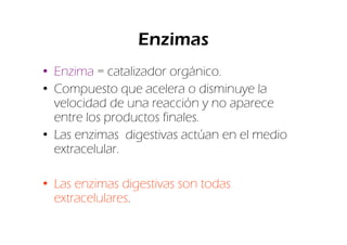 Enzimas
• Enzima = catalizador orgánico.
• Compuesto que acelera o disminuye la
  velocidad de una reacción y no aparece
  entre los productos finales.
• Las enzimas digestivas actúan en el medio
  extracelular.

• Las enzimas digestivas son todas
  extracelulares.
 