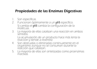 Propiedades de las Enzimas Digestivas

1.    Son específicas
2.    Funcionan óptimamente a un pH específico.
      Si cambia el pH cambia la configuración de la
      molécula.
3.    La mayoría de ellas catalizan una reacción en ambos
      sentidos.
      La acumulación de un producto hace más lenta la
      reacción y tiende a revertirla
4.    Son destruidas o eliminadas continuamente en el
      organismo aunque no se consuman durante la
      reacción que catalizan.
5.    La mayoría de ellas son sintetizadas como proenzimas
      inactivas
 