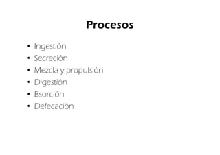Procesos
•   Ingestión
•   Secreción
•   Mezcla y propulsión
•   Digestión
•   Bsorción
•   Defecación
 