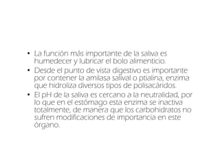 • La función más importante de la saliva es
  humedecer y lubricar el bolo alimenticio.
• Desde el punto de vista digestivo es importante
  por contener la amilasa salival o ptialina, enzima
  que hidroliza diversos tipos de polisacáridos.
• El pH de la saliva es cercano a la neutralidad, por
  lo que en el estómago esta enzima se inactiva
  totalmente, de manera que los carbohidratos no
  sufren modificaciones de importancia en este
  órgano.
 