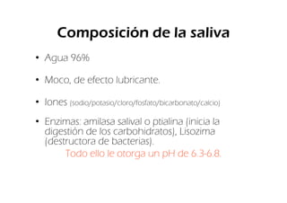 Composición de la saliva
• Agua 96%

• Moco, de efecto lubricante.

• Iones (sodio/potasio/cloro/fosfato/bicarbonato/calcio)
• Enzimas: amilasa salival o ptialina (inicia la
  digestión de los carbohidratos), Lisozima
  (destructora de bacterias).
       Todo ello le otorga un pH de 6.3-6.8.
 