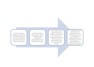 El resultado de esta
                                                  El hidrógeno del
                                                                           reacción, es la
                                                   agua se une al
   La reacción de         La hidrólisis de un                            liberación de un
                                                oxígeno del extremo
hidrólisis, consiste en   enlace glucosídico                           monosacárido, dos
                                                    de una de las
 el rompimiento de          se lleva a cabo                                si la molécula
                                                moléculas de azúcar;
uniones covalentes            mediante la                              hidrolizada fue un
                                                   el OH se une al
 por medio de una         disociación de una                           disacárido o bien el
                                                 carbono libre del
 molécula de agua.        molécula de agua.                                polisacárido-1,
                                                   otro residuo de
                                                                       dependiendo de la
                                                       azúcar.
                                                                        molécula original.
 