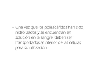 • Una vez que los polisacáridos han sido
  hidrolizados y se encuentran en
  solución en la sangre, deben ser
  transportados al interior de las células
  para su utilización.
 
