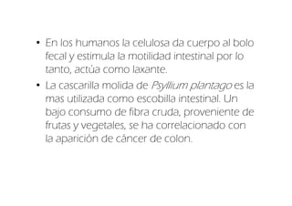 • En los humanos la celulosa da cuerpo al bolo
  fecal y estimula la motilidad intestinal por lo
  tanto, actúa como laxante.
• La cascarilla molida de Psyllium plantago es la
  mas utilizada como escobilla intestinal. Un
  bajo consumo de fibra cruda, proveniente de
  frutas y vegetales, se ha correlacionado con
  la aparición de cáncer de colon.
 