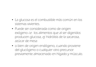 • La glucosa es el combustible más común en los
  sistemas vivientes.
• Puede ser considerada como de origen
  exógeno i.e. los alimentos que al ser digeridos
  producen glucosa, ej. hidrólisis de la sacarosa,
  azúcar de mesa
• o bien de origen endógeno, cuando proviene
  del glucógeno o cualquier otro precursor
  previamente almacenado en hígado y músculo.
 