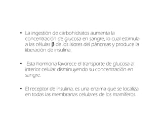 • La ingestión de carbohidratos aumenta la
  concentración de glucosa en sangre, lo cual estimula
  a las células β de los islotes del páncreas y produce la
  liberación de insulina.

• Esta hormona favorece el transporte de glucosa al
  interior celular disminuyendo su concentración en
  sangre.

• El receptor de insulina, es una enzima que se localiza
  en todas las membranas celulares de los mamíferos.
 