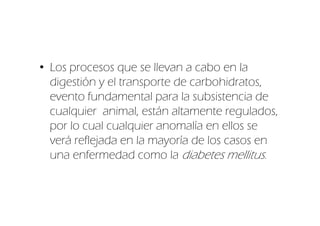 • Los procesos que se llevan a cabo en la
  digestión y el transporte de carbohidratos,
  evento fundamental para la subsistencia de
  cualquier animal, están altamente regulados,
  por lo cual cualquier anomalía en ellos se
  verá reflejada en la mayoría de los casos en
  una enfermedad como la diabetes mellitus.
 