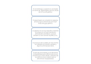 En el estómago, la pepsina es secretada
en forma de pepsinógeno por las células
          de la mucosa gástrica.




El pepsinógeno se convierte en pepsina,
  proceso que es favorecido por el pH
         ácido del jugo gástrico.



La pepsina no es muy específica, hidroliza
    los enlaces en los que intervienen
    aminoácidos aromáticos, aunque
 también lo hace donde hay Met y Leu.



El producto de la catálisis de esta enzima
    son péptidos de tamaño variable y
       algunos aminoácidos libres.



A este tipo de proteasa, se le denomina
 endopeptidasa para diferenciarla de las
enzimas que cortan desde cualquiera de
   los extremos de la cadena que se
       denominan exopeptidasas.
 