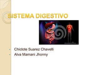 • Chiclote Suarez Chavelli
• Alva Mamani Jhonny
 