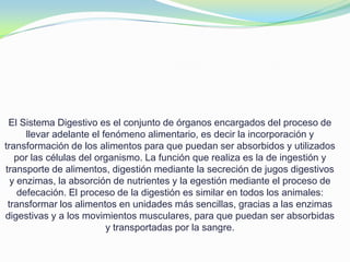 El Sistema Digestivo es el conjunto de órganos encargados del proceso de
llevar adelante el fenómeno alimentario, es decir la incorporación y
transformación de los alimentos para que puedan ser absorbidos y utilizados
por las células del organismo. La función que realiza es la de ingestión y
transporte de alimentos, digestión mediante la secreción de jugos digestivos
y enzimas, la absorción de nutrientes y la egestión mediante el proceso de
defecación. El proceso de la digestión es similar en todos los animales:
transformar los alimentos en unidades más sencillas, gracias a las enzimas
digestivas y a los movimientos musculares, para que puedan ser absorbidas
y transportadas por la sangre.
 