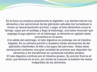 En la boca ya empieza propiamente la digestión. Los dientes trituran los
alimentos y las secreciones de las glándulas salivales los humedecen e
inician su descomposición química. Luego, el bolo alimenticio cruza la
faringe, sigue por el esófago y llega al estómago, una bolsa muscular que
segrega el jugo gástrico, en el estómago, el alimento es agitado hasta
convertirse en el quimo.
A la salida del estómago, el tubo digestivo se prolonga con el intestino
delgado, En su primera porción o duodeno recibe secreciones de las
glándulas intestinales, la bilis y los jugos del páncreas. Todas estas
secreciones contienen una gran cantidad de enzimas que degradan los
alimentos y los transforman en sustancias solubles simples.
El tubo digestivo continúa por el intestino grueso, Su porción final es el
recto, que termina en el ano, por donde se evacuan al exterior los restos
indigeribles de los alimentos.
 