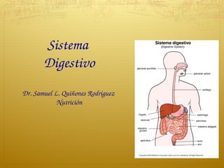 Sistema 
Digestivo
Dr. Samuel L. Quiñones Rodriguez 
Nutrición
 