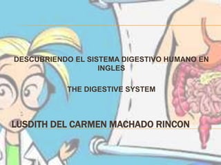 DESCUBRIENDO EL SISTEMA DIGESTIVO HUMANO EN
INGLES

THE DIGESTIVE SYSTEM

LUSDITH DEL CARMEN MACHADO RINCON

 
