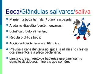Boca/Glândulas salivares/saliva


Mantem a boca húmida; Potencia o paladar



Ajuda na digestão (contém enzimas);



Lubrifica o bolo alimentar;



Regula o pH da boca;



Acção antibacteriana e antifúngica;



Previne a cárie dentária ao ajudar a eliminar os restos
dos alimentos e a placa bacteriana;



Limita o crescimento de bactérias que danificam o
esmalte devido aos minerais que contém.

 