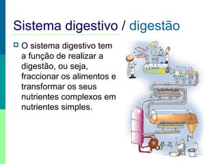 Sistema digestivo / digestão


O sistema digestivo tem
a função de realizar a
digestão, ou seja,
fraccionar os alimentos e
transformar os seus
nutrientes complexos em
nutrientes simples.

 