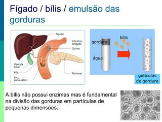 Fígado / bílis / emulsão das
gorduras
gordura

bílis

água

gotículas
de gordura

A bílis não possui enzimas mas é fundamental
na divisão das gorduras em partículas de
pequenas dimensões.

 