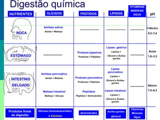 Digestão química
NUTRIENTES

GLÍCIDOS

PRÓTIDOS

LÍPIDOS

VITAMINAS
MINERAIS
ÁGUA

≈ Neutro

Amilase salivar

BOCA

pH

Amido > Maltose

6,2–7,4

Lipase gástrica
Protease (pepsina)

Ácido

Proteínas > Péptidos

ESTÔMAGO

Lípidos >
Glicerol e Ácidos
gordos

1,0–3,5

Lipase
pancreática

Amilase pancreática

INTESTINO

Amido > Maltose

Protease pancreática
Proteínas > Péptidos

DELGADO

Lípidos >
Glicerol e Ácidos
gordos

Maltase intestinal

Péptidase
Péptidos > Aminoácidos

7,5–8,3

Lipase intestinal

Maltose > Glicose

Básico

Lípidos >
Glicerol e Ácidos
gordos

Produtos finais
da digestão

Glicose (monossacarídeo)
e Celulose

Aminoácidos

Ácidos gordos

glicerol

Vitaminas
Minerais
Água

 