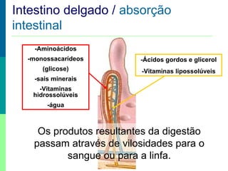 Intestino delgado / absorção
Absorção Intestinal
intestinal
-Aminoácidos
-monossacarídeos

-Ácidos gordos e glicerol

(glicose)

-Vitaminas lipossolúveis

-sais minerais
-Vitaminas
hidrossolúveis
-água

Os produtos resultantes da digestão
passam através de vilosidades para o
sangue ou para a linfa.

 