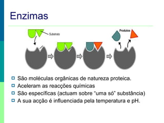 Enzimas






São moléculas orgânicas de natureza proteica.
Aceleram as reacções químicas
São específicas (actuam sobre “uma só” substância)
A sua acção é influenciada pela temperatura e pH.

 