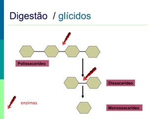 Digestão / glícidos

Polissacarídeo

Dissacarídeo

enzimas
Monossacarídeo

 