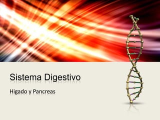 Sistema Digestivo
Higado y Pancreas
 