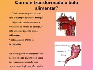 Como é transformado o bolo
alimentar?
O bolo alimentar passa da boca
para o esófago, através da faringe.
Empurrado pelos movimentos
musculares da parede do esófago, o
bolo alimentar progride até ao
estômago.
A esta passagem chama-se
deglutição.
No estômago o bolo alimentar sofre
a acção do suco gástrico e a acção
dos movimentos musculares da
parede deste órgão, transformando-
 