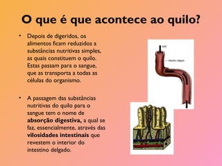 O que é que acontece ao quilo?
• Depois de digeridos, os
alimentos ficam reduzidos a
substâncias nutritivas simples,
as quais constituem o quilo.
Estas passam para o sangue,
que as transporta a todas as
células do organismo.
• A passagem das substâncias
nutritivas do quilo para o
sangue tem o nome de
absorção digestiva, a qual se
faz, essencialmente, através das
vilosidades intestinais que
revestem o interior do
intestino delgado.
 