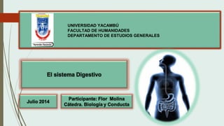 UNIVERSIDAD YACAMBÚ
FACULTAD DE HUMANIDADES
DEPARTAMENTO DE ESTUDIOS GENERALES
 