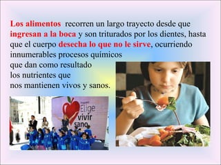 Los alimentos recorren un largo trayecto desde que 
ingresan a la boca y son triturados por los dientes, hasta 
que el cuerpo desecha lo que no le sirve, ocurriendo 
innumerables procesos químicos 
que dan como resultado 
los nutrientes que 
nos mantienen vivos y sanos. 
 