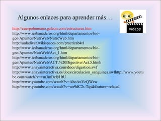 Algunos enlaces para aprender más… 
http://cuerpohumano.galeon.com/estructuras.htm 
http://www.iesbanaderos.org/html/departamentos/bio-geo/ 
Apuntes/NutrWeb/NutrcWeb.htm 
http://auladiver.wikispaces.com/practicab4t1 
http://www.iesbanaderos.org/html/departamentos/bio-geo/ 
Apuntes/NutrWeb/Act_1.htm 
http://www.iesbanaderos.org/html/departamentos/bio-geo/ 
Apuntes/NutrWeb/ACT.%20Digestivo/Act.5.htmh 
http://www.anayainteractiva.com/docs/digestion.swf 
http://www.anayainteractiva.es/docs/circulacion_sanguinea.swfhttp://www.youtu 
be.com/watch?v=vm3mBzfyHtU 
http://www.youtube.com/watch?v=AhoAuVeQWcw 
http://www.youtube.com/watch?v=we9dC2s-Tqs&feature=related 
