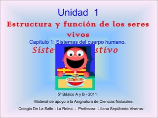 Unidad 1
Estructura y función de los seres
vivos
Capítulo 1: Sistemas del cuerpo humano.
Sistema Digestivo
5º Básico A y B - 2011
Material de apoyo a la Asignatura de Ciencias Naturales.
Colegio De La Salle - La Reina. - Profesora: Liliana Sepúlveda Viveros
 