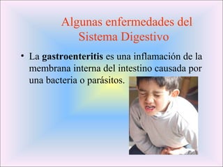 Algunas enfermedades del
Sistema Digestivo
• La gastroenteritis es una inflamación de la
membrana interna del intestino causada por
una bacteria o parásitos.
 